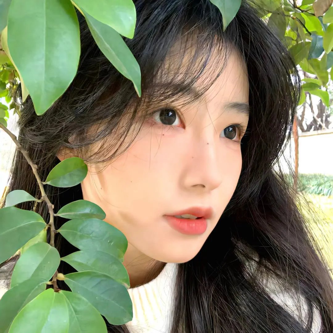 独孤天下之异瞳
